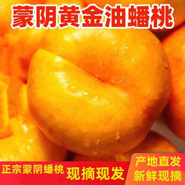 【现摘现发彩虹油蟠桃 】山东蒙阴新鲜采摘产地直发香甜爆汁多水