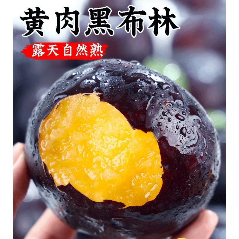 【黑布林鲜果上市】陕西黑布林李李子