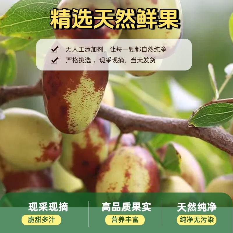 【顺丰速运】宁夏灵武长枣新鲜采摘皮薄肉厚脆甜多汁长枣水果