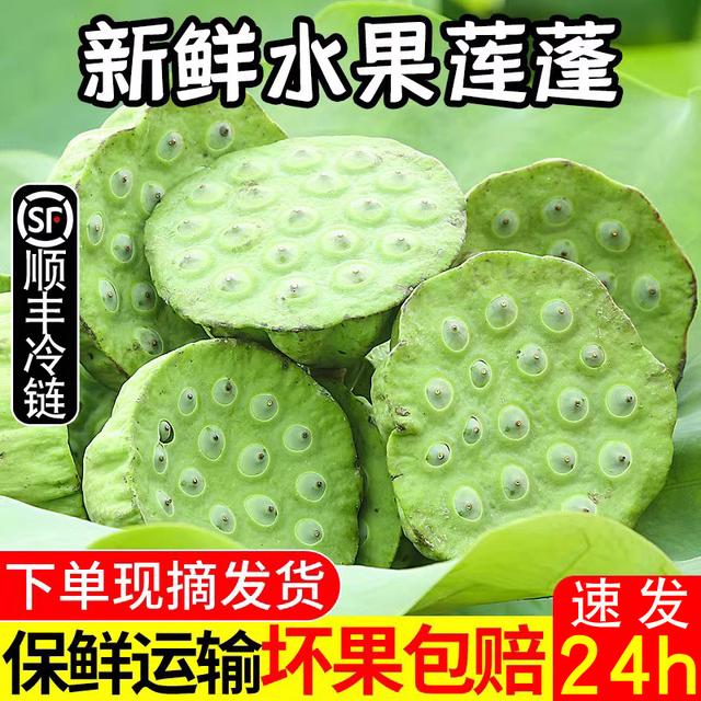 2026新鲜莲蓬现摘生吃1/2/3斤新鲜水果当季湘莲超甜嫩莲子米顺丰
