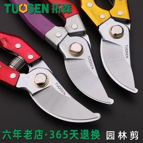 拓森工具8寸果枝剪SK5弯头粗枝剪园艺剪摘果园林树枝剪刀修枝剪