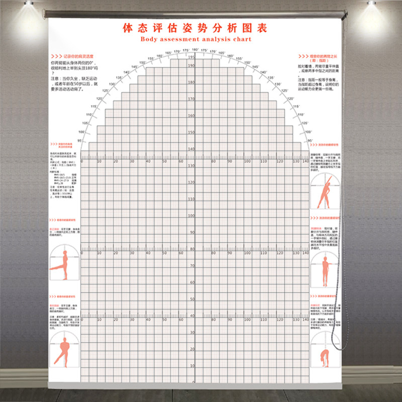 卷帘款体态评估表健身房瑜伽馆健身运动体位体测图私教评估图定制,家装主材,定制壁画,淘宝优惠券,粉丝福利购,淘宝优惠卷