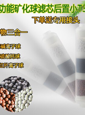 纯水机净水器 矿化滤芯 补充矿物质元素矿泉水弱碱 T33口感配件