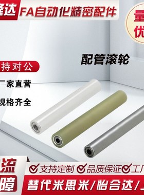 替换米思米 ROLNT/ROLNA/ROLNS/RORAA/RORC 40 60 80 长配管滚轮