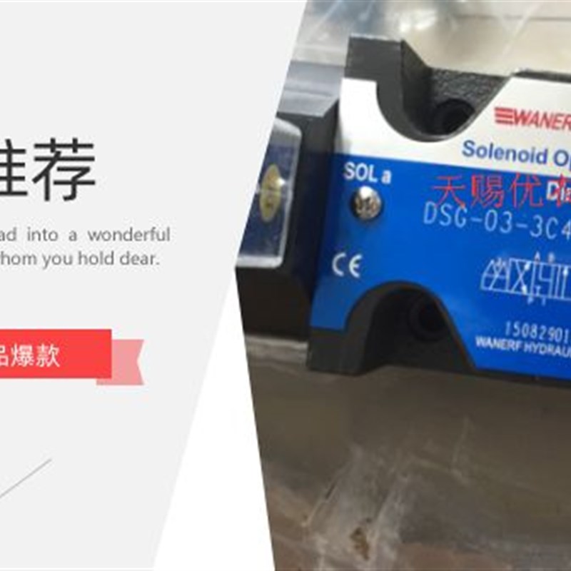 WANERF液压电磁阀24EI3-H10B-T 24BI3-H10B-T