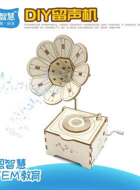 能恩智慧儿童DIY木质科技小制作手摇留声机幼儿园科学小发明器材