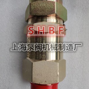 约克空调机组原装安全阀SFA-22C300T2 022W10076-000 KT安全阀