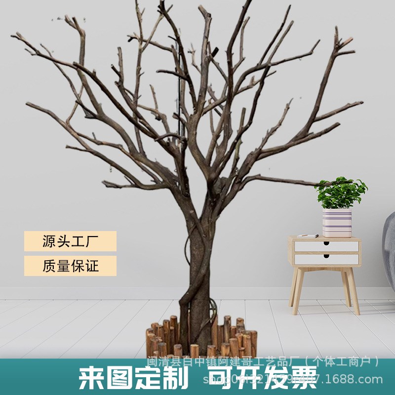 仿真枯树大型天然实木树干室x内外造景园艺树桩微景观摄影橱窗装