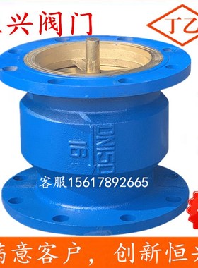 HC41X-16法兰消声止回阀 单向逆止阀DN40 50 65 80 100 150 200