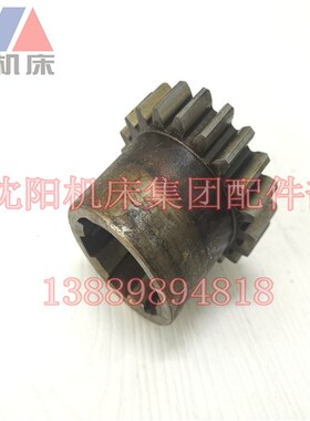 大连机床配件CD6140A CD6150齿轮20744 Z20 M3车床齿轮6-4010