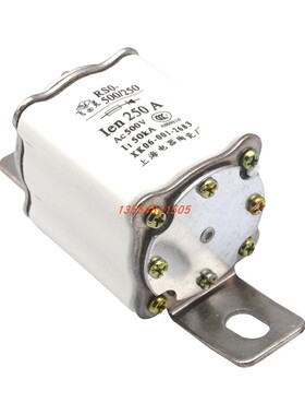 快速熔断器RS3 RSO-500/400 100A 200A 250A 400A 630A保险管芯子