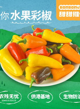 BonBonVita【迷你椒】甜甜维他彩椒水果彩椒500g/箱（15个左右）