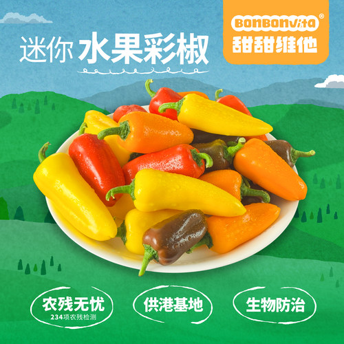 500g/箱（15个左右）迷你椒