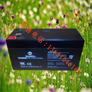 电子设备 大华 12V1.3AH电瓶12V1.3AH电池 DHB1213 UPS电池 DAHUA