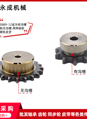 SCS高精度单排链轮4分 08B18齿 08B19齿 08B20齿 08B21齿 08B22齿