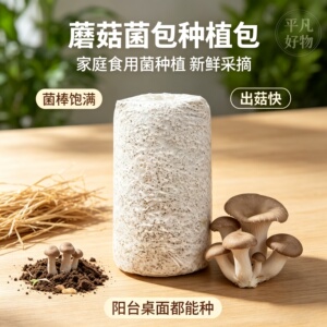 [立减50]菌包家庭种植菌包种球易种易活室内阳台趣味种植菌菇包JL