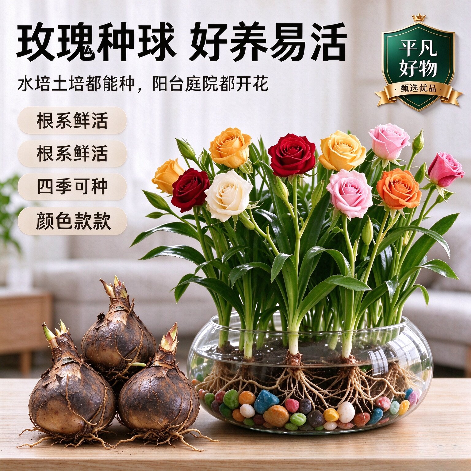 水培植物浓香型玫瑰花种球水养花卉室内外盆栽四季开花好养绿植JL