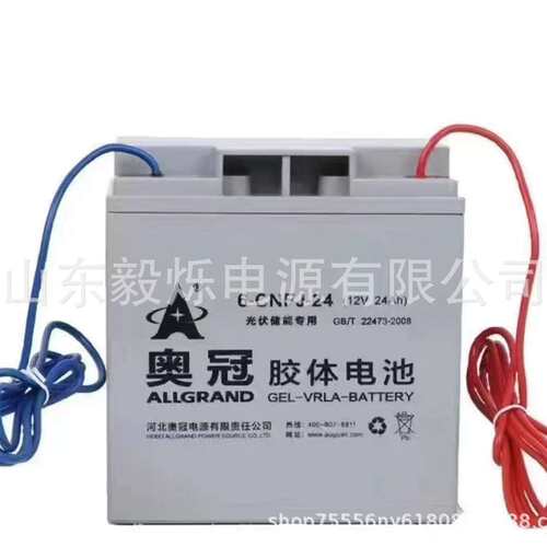 奥冠蓄电池6-CNFJ-24引线胶体蓄电池12V24AH太阳能光伏路灯照明