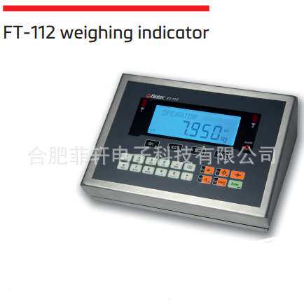 德国富林泰克flintec FT-112面板式称重显示器 称重控制仪表