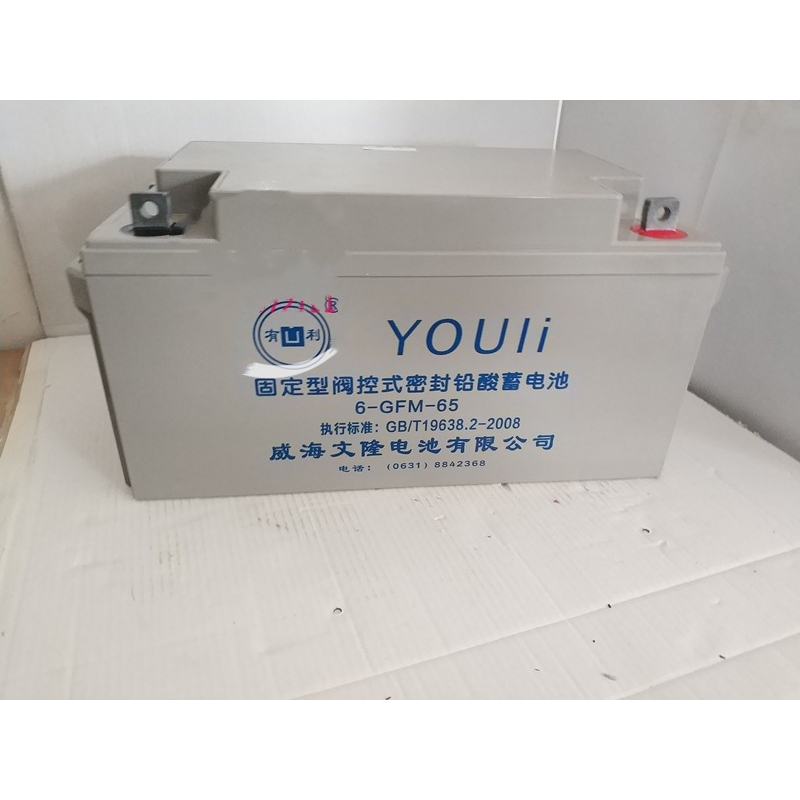 有利YOULI蓄电池6-GFM-65消防12V65AH监控发电厂直流屏EPSUPS电源