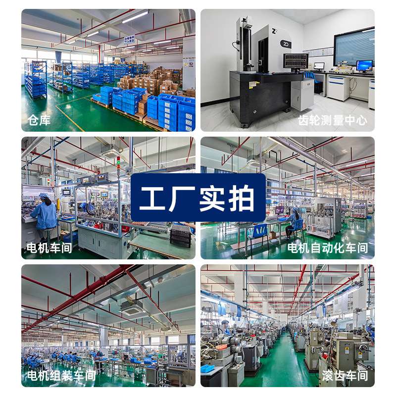 37mm微型直流减速电机12V24V大扭矩智能设备小型有刷减速电机马达