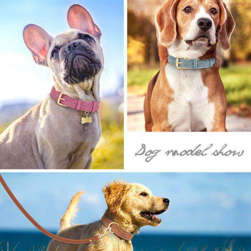 项圈中型犬定制狗牌狗脖法斗狗柯基皮质双层ALdnhzv1圈小圈狗型犬