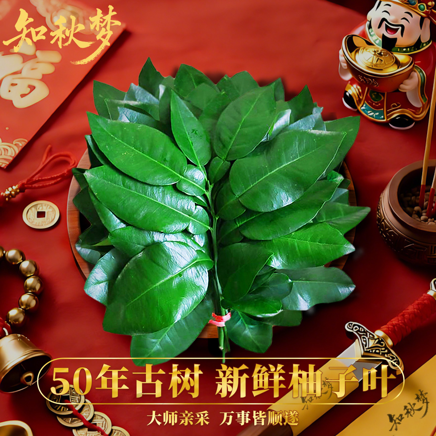 知秋梦/新鲜柚子叶带枝大叶祈福专用碌柚叶乔迁沐浴出狱网红同款