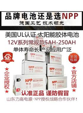 耐普蓄电池12伏NPG12V65A24a38ah17a100ah200安太阳能胶体电瓶