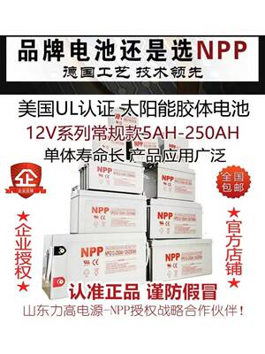 耐普蓄电池12伏NPG12V65A24a38ah17a100ah200安太阳能胶体电瓶