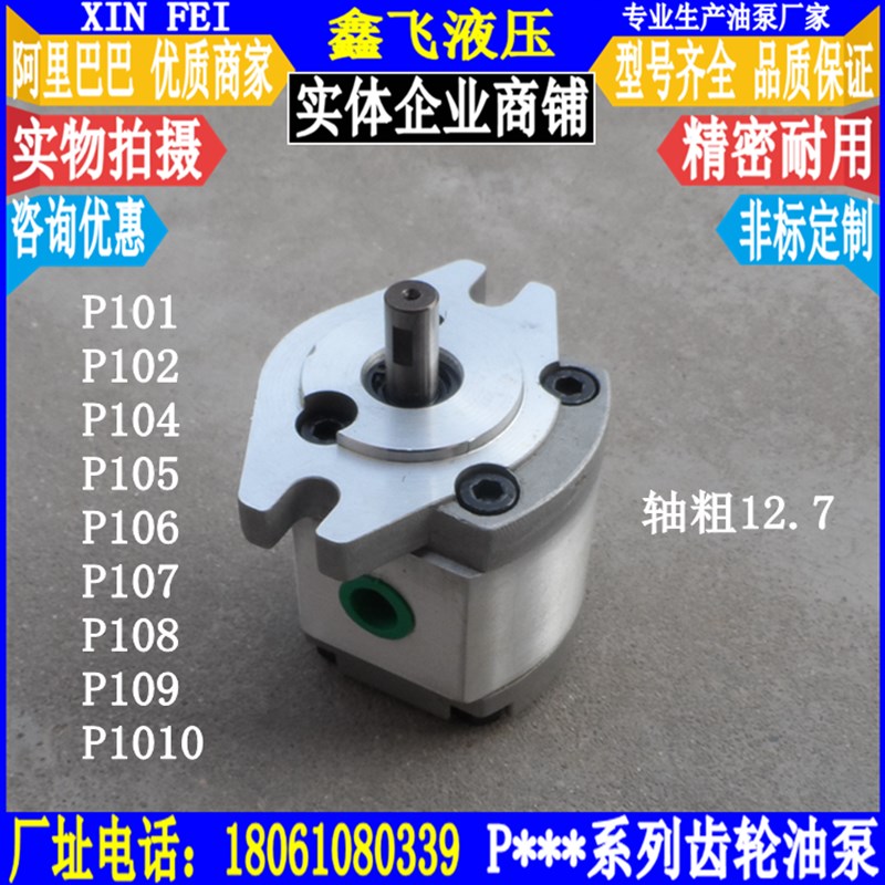 P101/P102/P104/P105/P106/P107/P108/P109 RP01GT齿轮油泵12.7轴