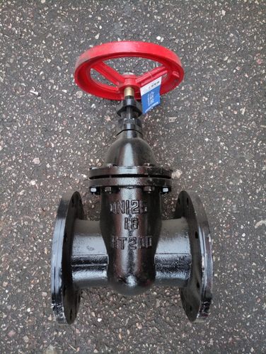 Z45T-10/16 铸铁暗杆法兰闸阀DN50 65 80 100 150 200 300 400500