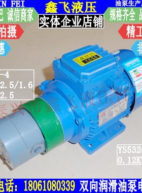 DBB2-4双向润滑油泵电机组合120W YS5326 TXSX-3.3齿轮油泵装置