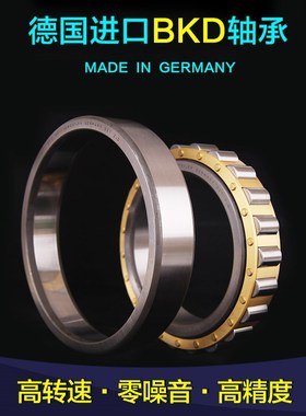 德国BKD进口机床轴承 E12736 E402736 NF2306X2 NF1036WCX1 NF636