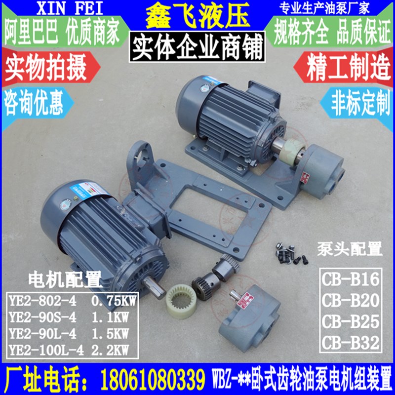 WBZ/CB-B16/B20/B25/B32JZ齿轮油泵电机组装置0.75/1.1/1.5KW-B3