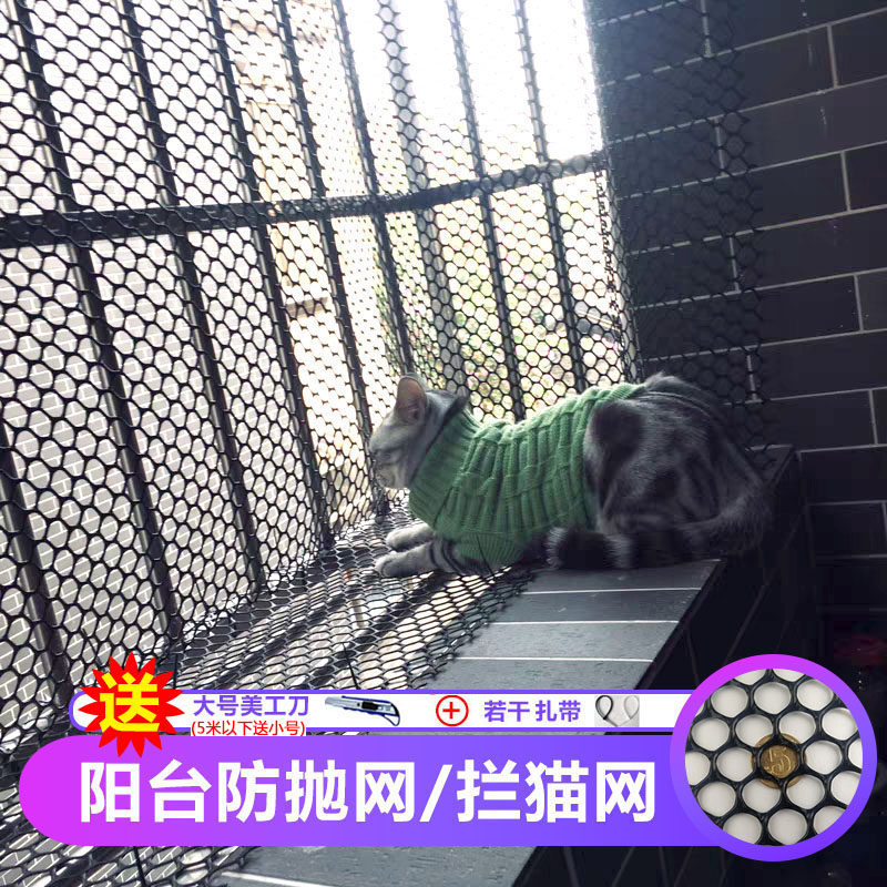 黑塑料平网格儿童安全楼梯防护网阳台防猫防坠网家用安全网封窗网,清洗/食品/商业设备,洗车机,淘宝优惠券,粉丝福利购,淘宝优惠卷