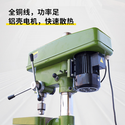 西菱工业级精密16厘变速Z516多功能台式20厘台钻4120西凌西陵西湖