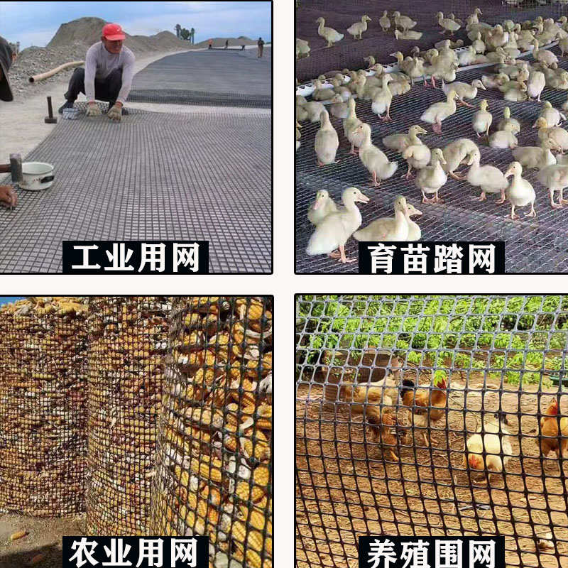 塑料网格养殖围栏鱼塘防护网养鸡围网菜园栅栏户外护栏网圈玉米网