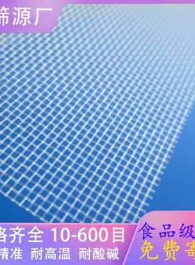 上筛丝网耐酸碱40目60目白黑色单丝pp丙纶过滤网 聚丙烯过滤网布