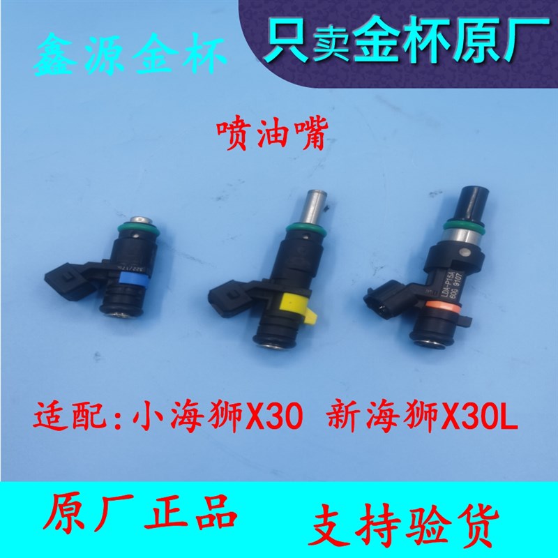 金杯小海狮X30新t海狮X30L喷油嘴喷油器配件