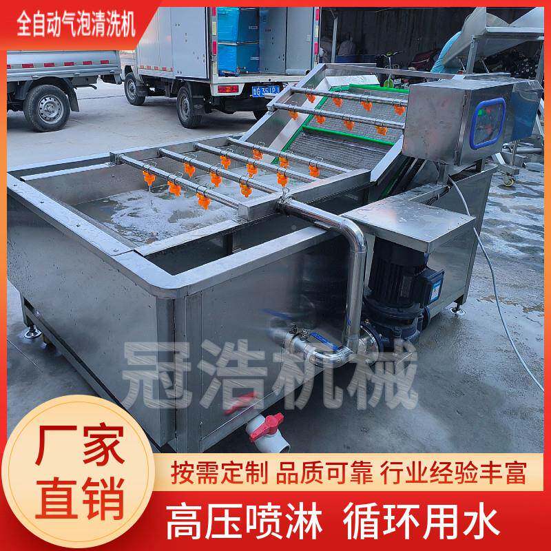 果蔬气洗菜机水果蔬菜清洗机酱菜菜脱盐清洗洗机大酸枣葡萄GH6000