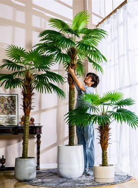 大型仿真棕榈树散尾葵热s带绿植仿生假树室内室外落地装饰造景摆