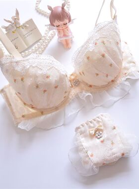 日系雪纺清纯刺绣甜美可爱有钢圈聚拢薄罩杯少P女学生内衣文胸套