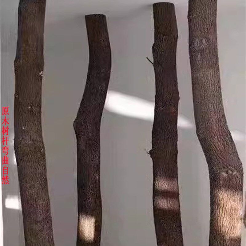 天然香樟树杆造型漫咖啡厅餐厅枯木摆件装饰橱窗造W景去皮干树枝