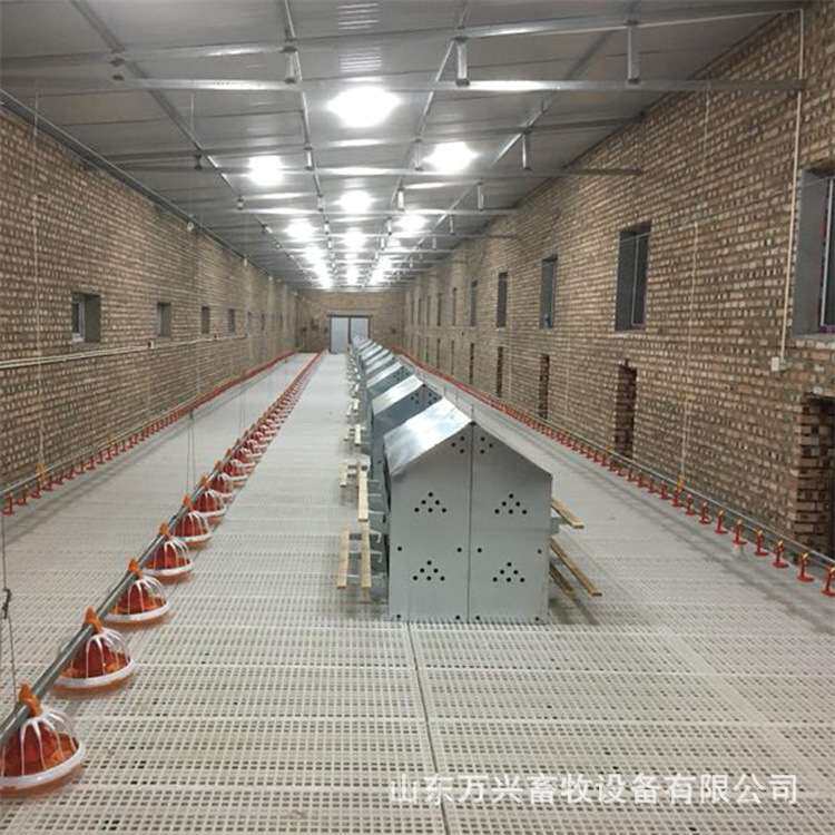 厂家供应鸡蛋窝24穴产蛋窝双层多穴产蛋箱平养蛋鸡用图片、型号