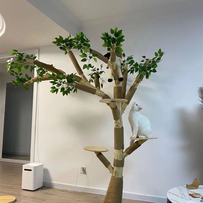 猫爬架耐磨不粘毛真树干实木猫架大型猫树网红猫爬树宠物跳台一体
