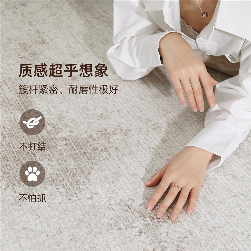 地毯客厅2025新款现代简约免打理卧室床边毯房间沙发地垫冬天加厚