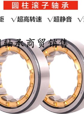 圆柱滚子轴承NUP206M NJ206EV NJ206 NCF206 RNU206M RN206