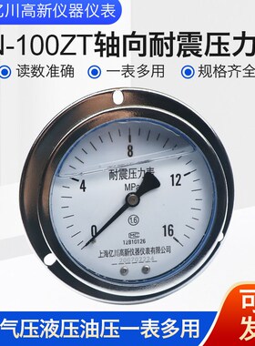 yn100zt轴向带边耐震压力表0-0.6/1.6/25/40/60mpa背接面板式安装