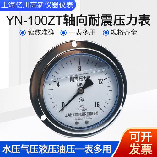 yn100zt轴向带边耐震压力表0-0.6/1.6/25/40/60mpa背接面板式安装