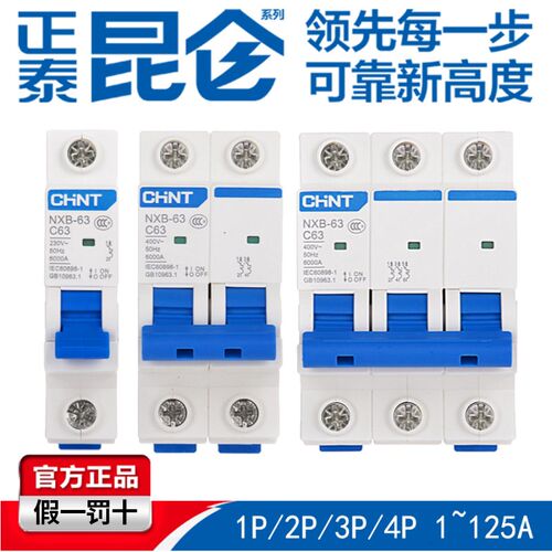 空气开关NXB-63a家用空开2p小型断路器1P空调总闸3P DZ47